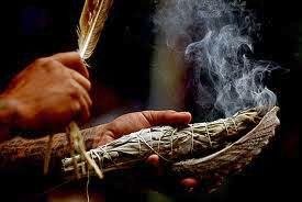 native-california-white-sage-bundles